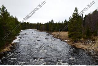 Photo Reference of Background Forest